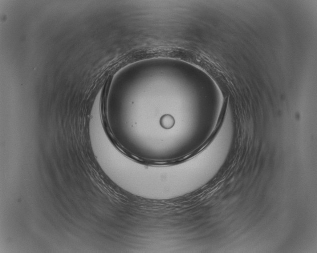 X0000062851348200601131339