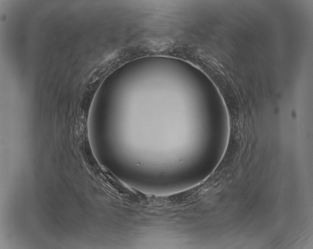 X0000062851349200601131339