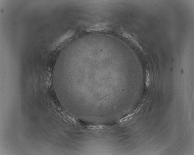 X0000062851350200601131339