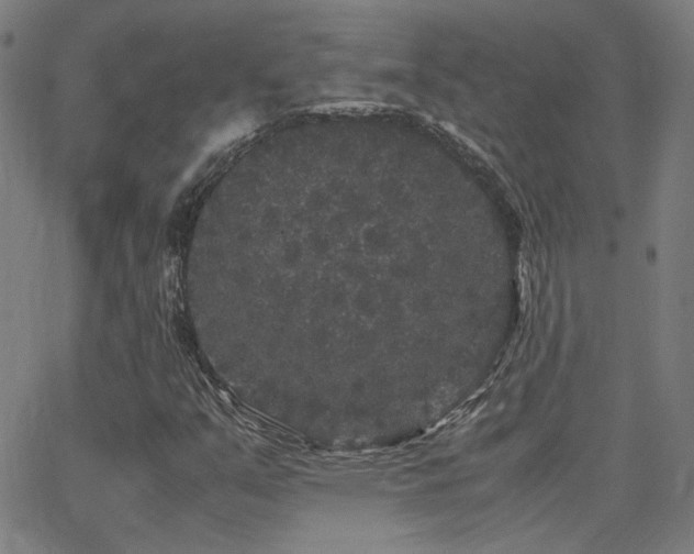 X0000062851351200601131339