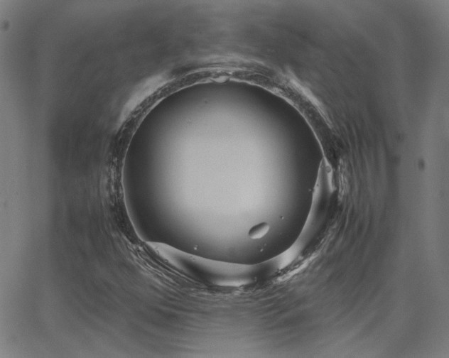 X0000062851352200601131339