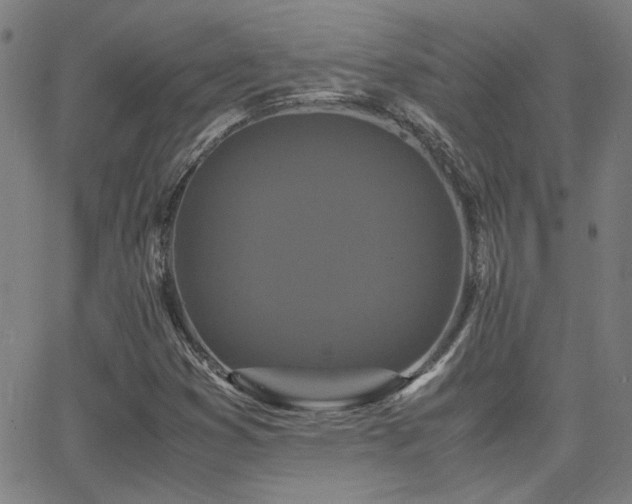 X0000062851353200601131339