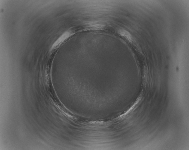 X0000062851354200601131339