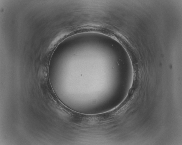 X0000062851355200601131339