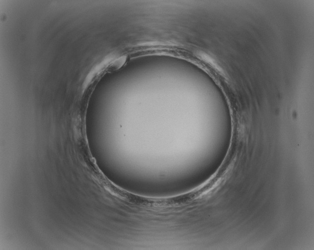 X0000062851357200601131339