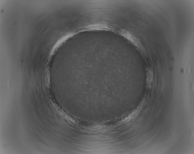 X0000062851358200601131339