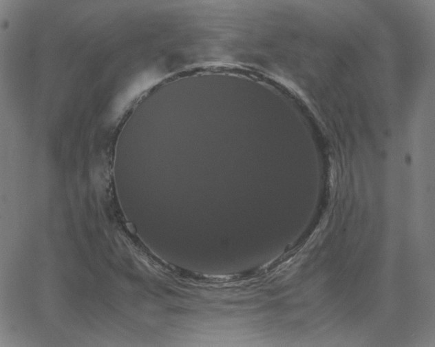 X0000062851359200601131339