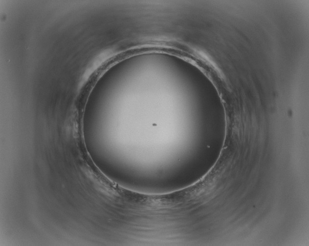 X0000062851360200601131339