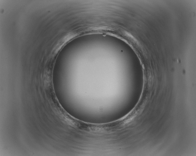 X0000062851361200601131339