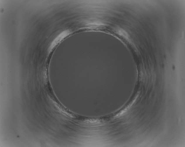 X0000062851362200601131339