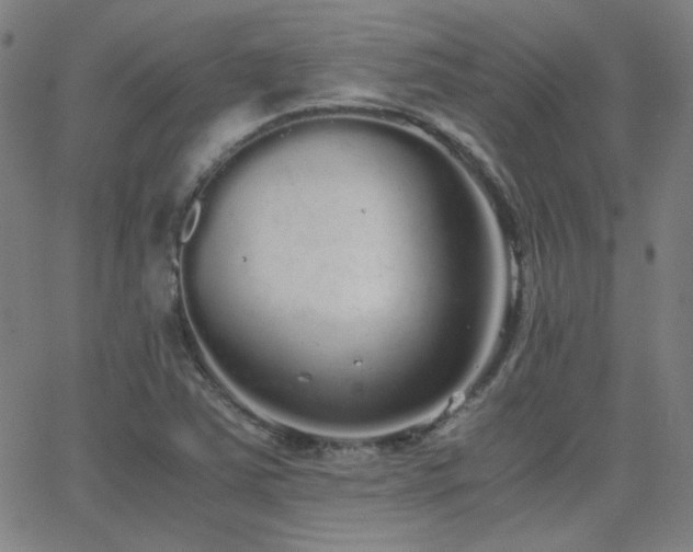 X0000062851363200601131339