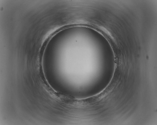 X0000062851364200601131339