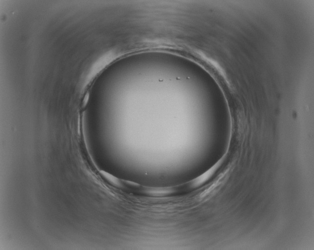 X0000062851365200601131339