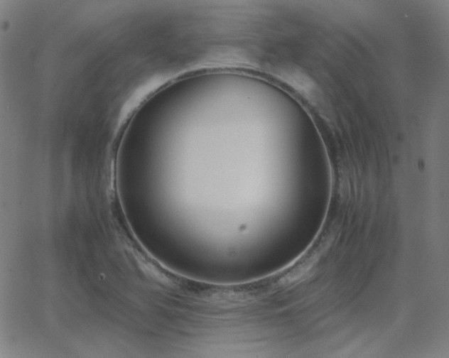 X0000062851366200601131339