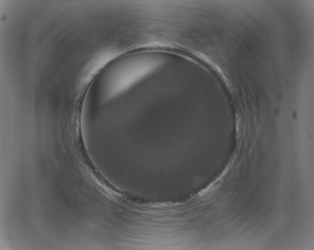 X0000062851367200601131339