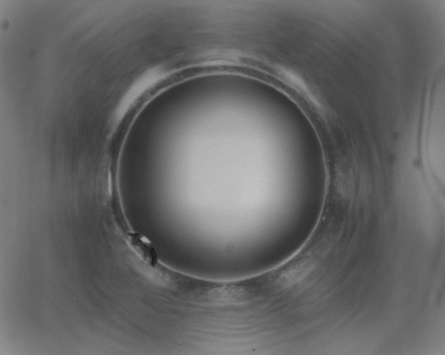 X0000062851368200601131339