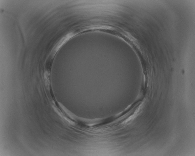 X0000062851369200601131339