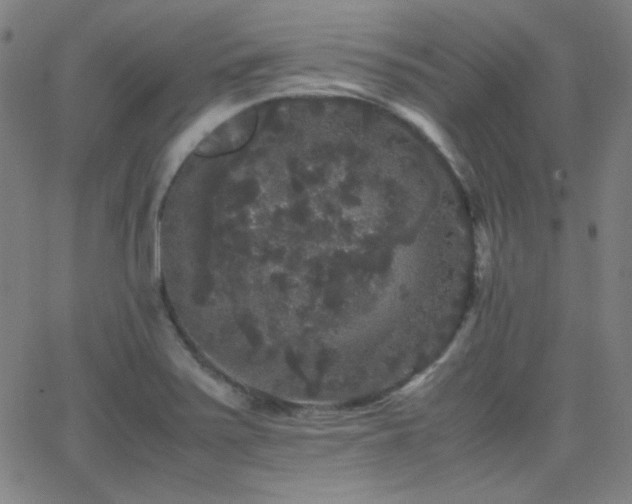 X0000062851371200601131339