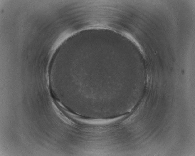 X0000062851372200601131339