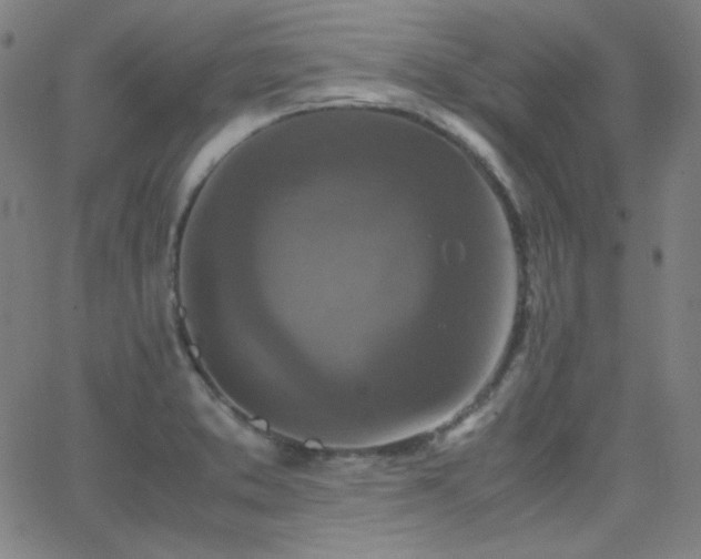 X0000062851373200601131339