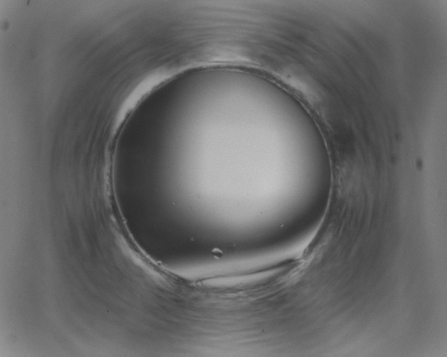 X0000062851374200601131339