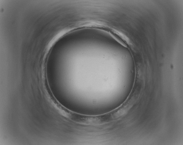 X0000062851375200601131338