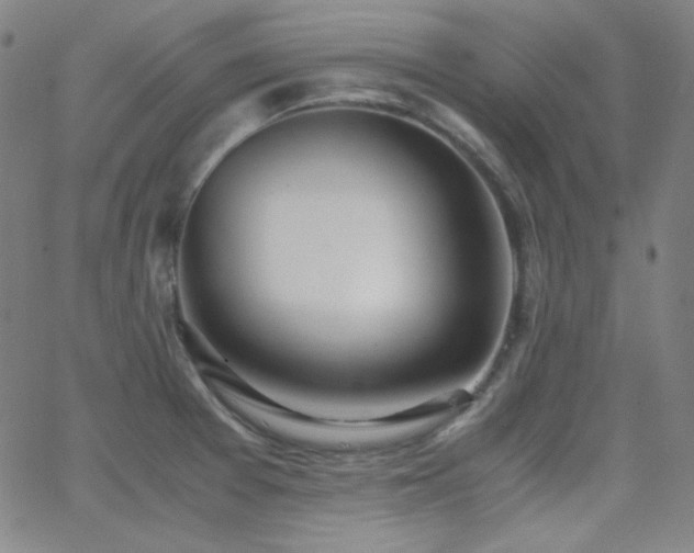 X0000062851377200601131338