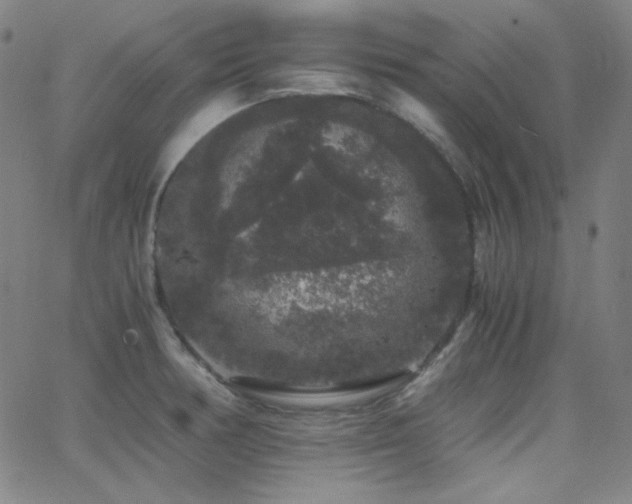 X0000062851378200601131338