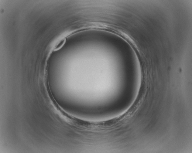 X0000062851379200601131338