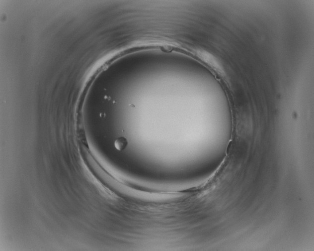 X0000062851380200601131338