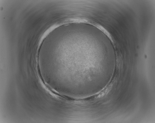 X0000062851381200601131338