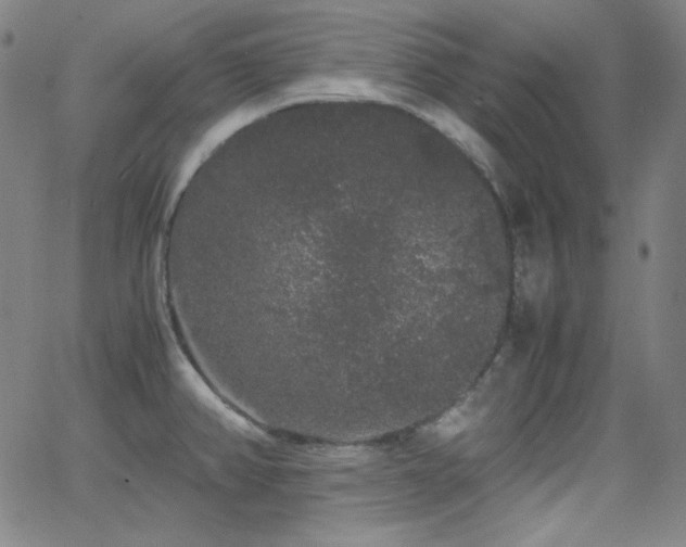 X0000062851382200601131338