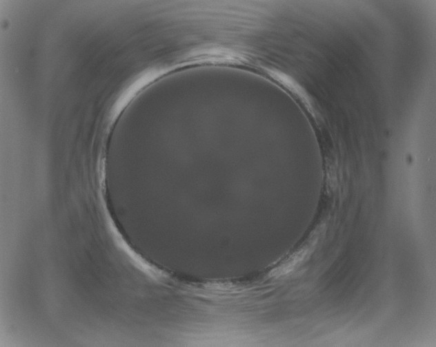 X0000062851383200601131338