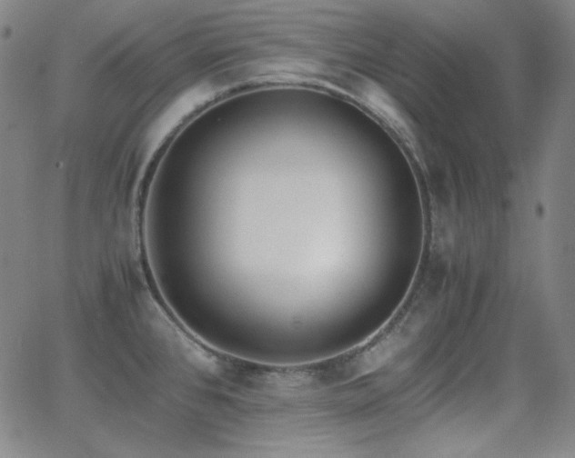 X0000062851384200601131338