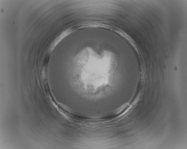 X0000062851385200601131338