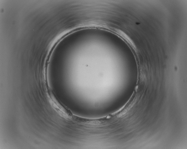 X0000062851388200601131338