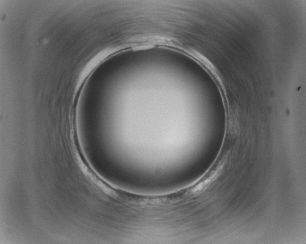 X0000062851389200601131338