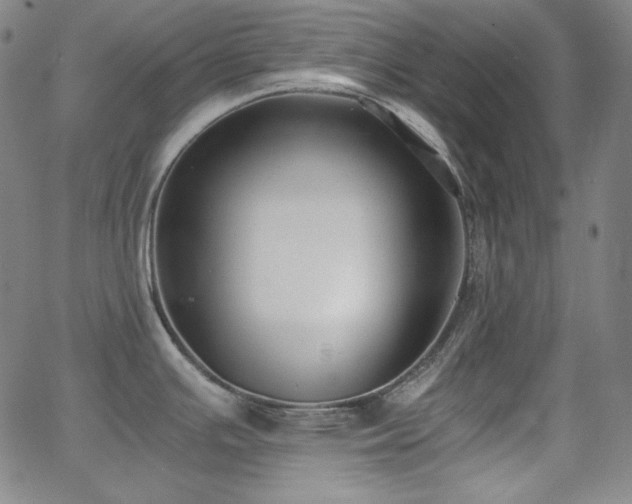 X0000062851391200601131338