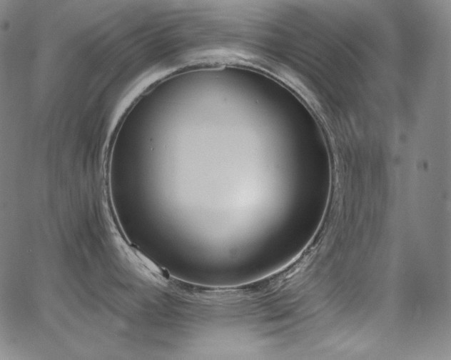 X0000062851392200601131338