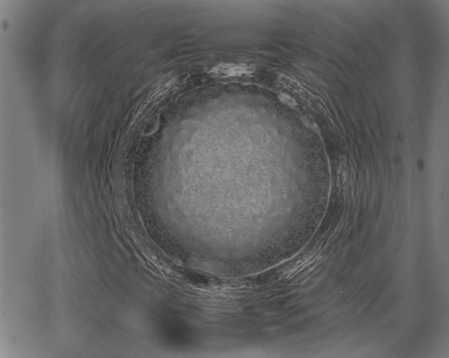 X0000062851393200601131337