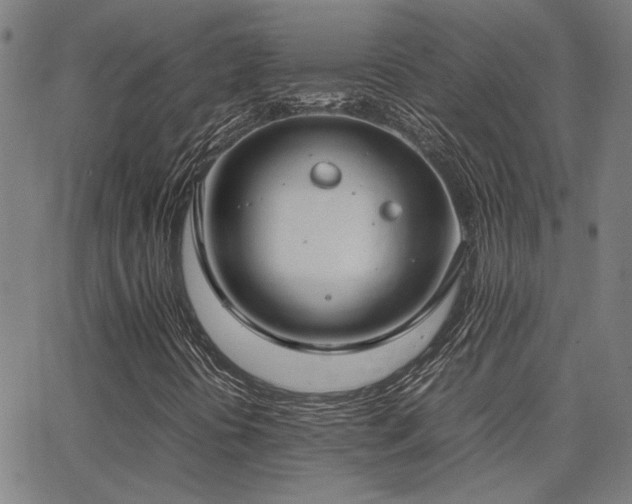 X0000062851394200601131337