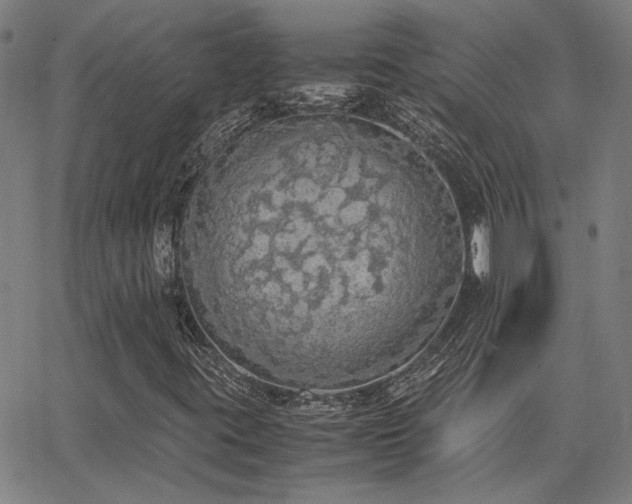 X0000062851395200601131337