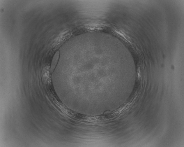 X0000062851396200601131337