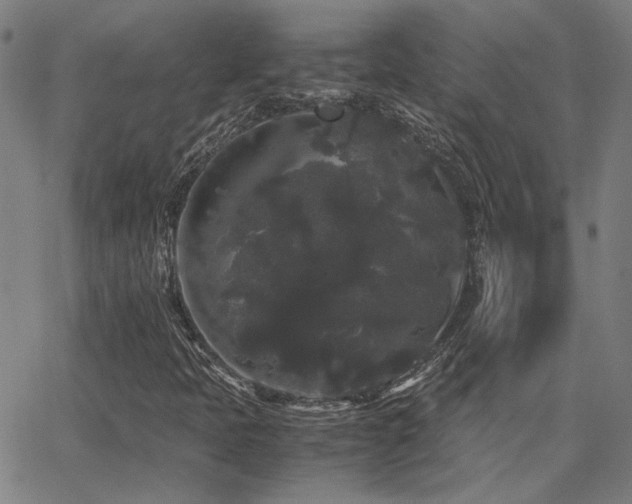 X0000062851397200601131337