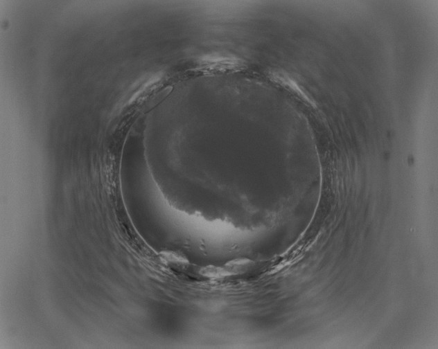 X0000062851399200601131337