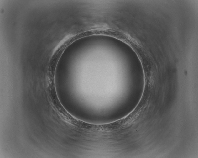 X0000062851400200601131338