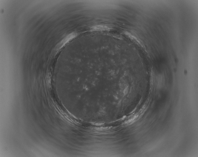 X0000062851401200601131338