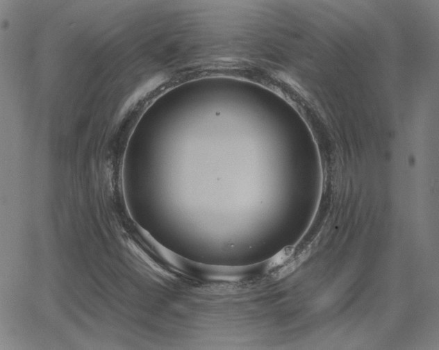 X0000062851402200601131338