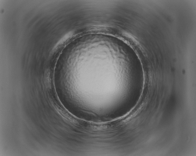 X0000062851403200601131338