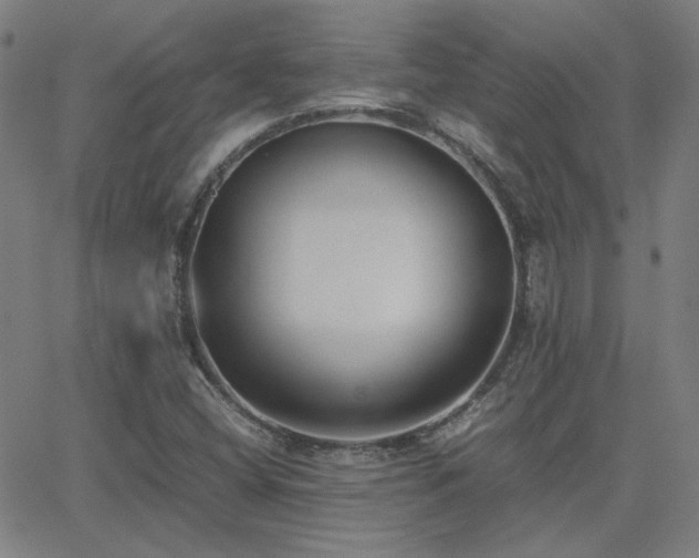 X0000062851404200601131338